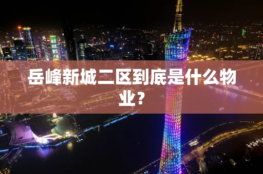 岳峰新城二区到底是什么物业？