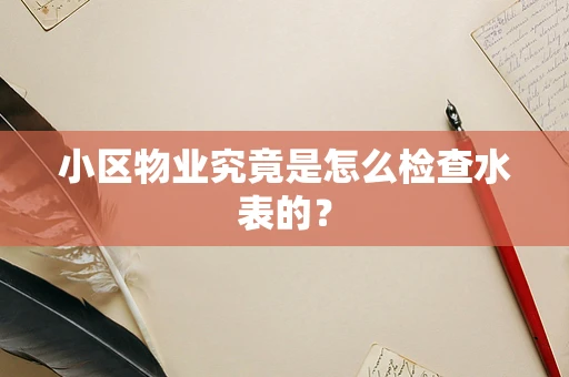 小区物业究竟是怎么检查水表的？