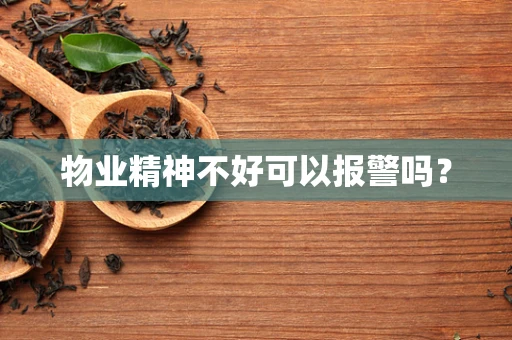 物业精神不好可以报警吗？