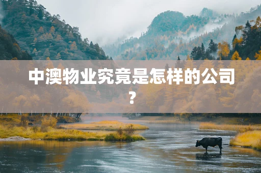 中澳物业究竟是怎样的公司？