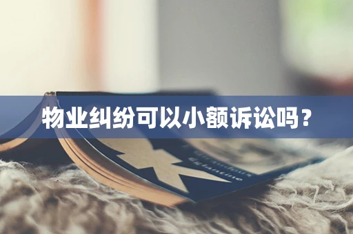物业纠纷可以小额诉讼吗？