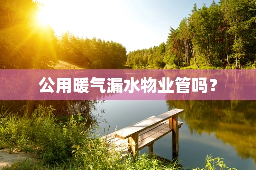 公用暖气漏水物业管吗？