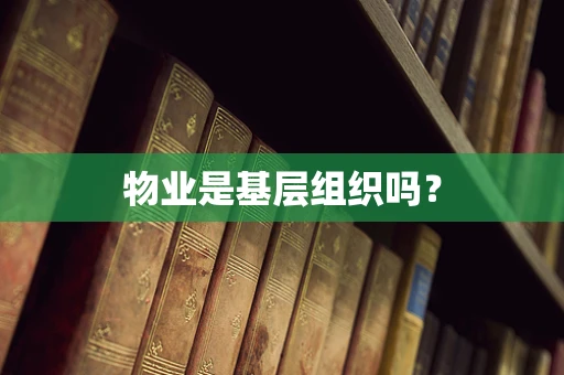 物业是基层组织吗？