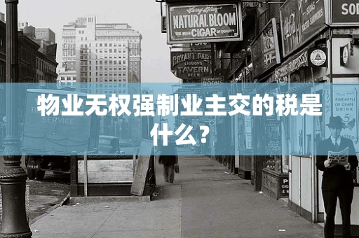 物业无权强制业主交的税是什么？