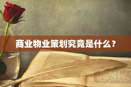 商业物业策划究竟是什么？