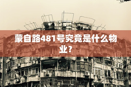 蒙自路481号究竟是什么物业？