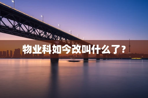 物业科如今改叫什么了？