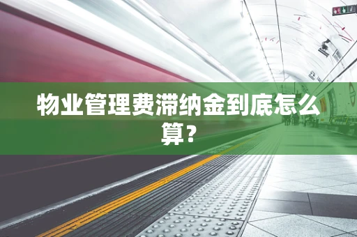 物业管理费滞纳金到底怎么算？