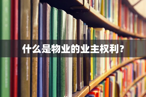 什么是物业的业主权利？