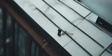 高空坠物物业到底要负责什么责任？