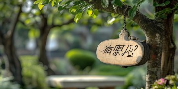 物业费究竟包括哪些科目？